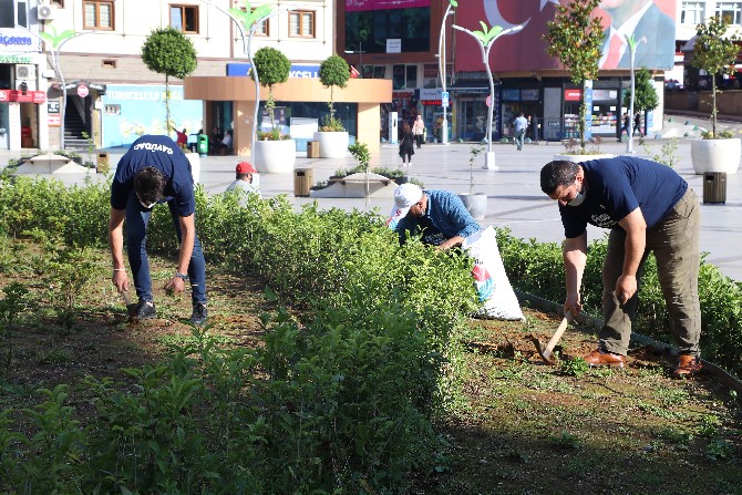 rize’de-cay-ureticileri-dayanisma-ve-yardimlasma-dernegi-(cayudad)-uyeleri,-sehir-meydanindaki-caylarin-bakimini-yaptilar-(2).jpg