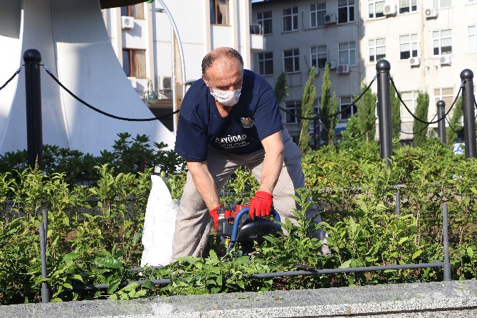 rize’de-cay-ureticileri-dayanisma-ve-yardimlasma-dernegi-(cayudad)-uyeleri,-sehir-meydanindaki-caylarin-bakimini-yaptilar-(4).jpg