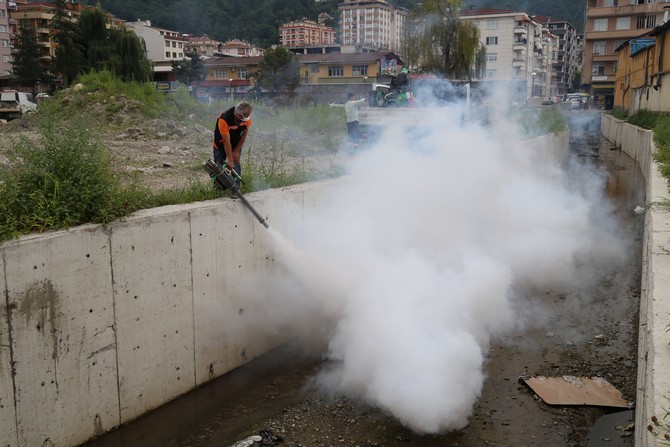 rize’de-sinekle-mucadele-calismalari-basladi-(2)-001.jpg
