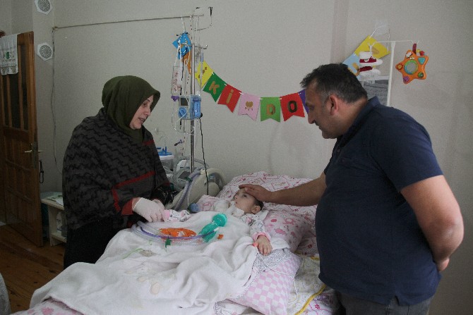 rize’de-yasayan-emine-ve-nuh-kandemir-ciftinin-en-kucuk-cocugu-olan-3-yasindaki-halime-sena,-dogduktan-1-yil-sonra-ortaya-cikan-hastalik-nedeniyle-yasam-mucadelesi-veriyor-(1).jpg