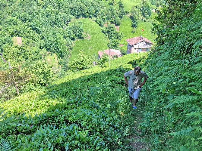 rize’de-yol-cilesi-(3).jpg