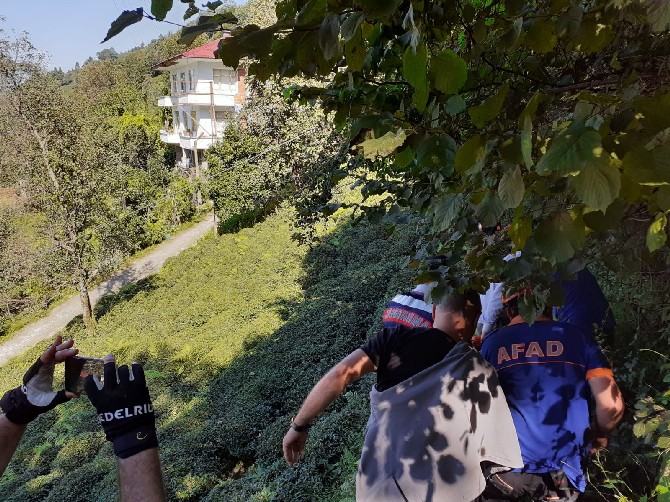 rize’nin-cayeli-ilcesi-madenli-beldesinde-dun-aksam-saatlerinde-kaybolan-81-yasindaki-cevahir-sisman,-19-saat-sonra-mahallenin-yukari-kismindaki-cay-bahcesi-yakinlarinda-bulundu-(5).jpg