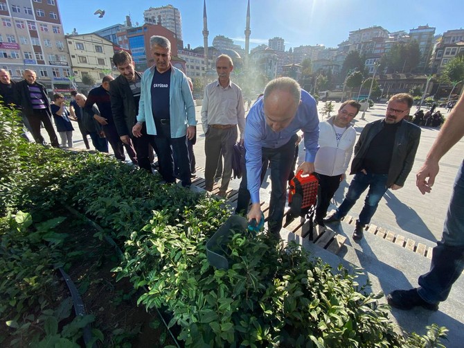 rize-beledite-baskani-rahmi-metin-cayudad-tarafindan-bakimi-yapilan-15-temmuz-demokrasi-ve-cumhuriyet-meydanindaki-cay-bahcesinin-bakim-calismalarina-katildi-11.jpg
