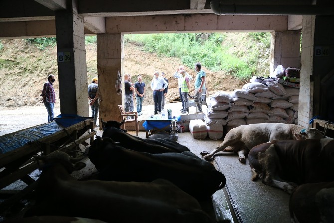 rize-belediye-baskani-rahmi-metin,-yaklasan-kurban-bayrami-oncesi-hizmete-giren-kurban-pazarini-gezerek,-yapilan-calismalari-yerinde-inceledi-(7).jpg