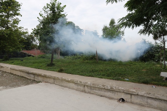 rize-belediyesi-3-ayri-ekip-ile-ilaclama-calismalarini-surduruyor-13.jpg