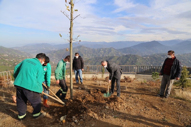 rize-belediyesi-4-bin-fidani-toprakla-bulusturdu-(1).jpg