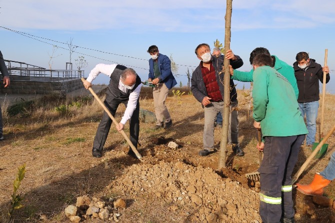 rize-belediyesi-4-bin-fidani-toprakla-bulusturdu-(3).jpg