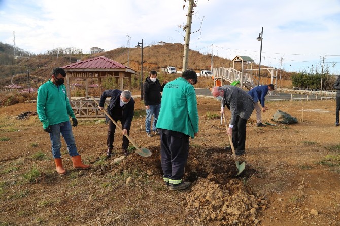 rize-belediyesi-4-bin-fidani-toprakla-bulusturdu-(4).jpg