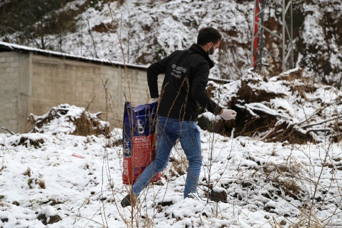 rize-belediyesi-ekipleri,-soguk-hava-ve-kar-yagisi-nedeniyle-sokak-hayvanlari-icin-kentin-bircok-noktasina-yem-ve-mama-birakti-(1).jpg
