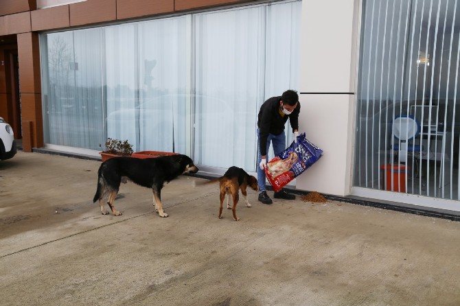 rize-belediyesi-ekipleri,-soguk-hava-ve-kar-yagisi-nedeniyle-sokak-hayvanlari-icin-kentin-bircok-noktasina-yem-ve-mama-birakti-(6).jpg