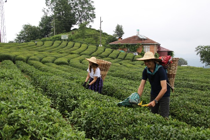 rize-belediyesi-ev-sahipliginde-sehrin-yoresel-lezzetlerinin-tanitildigi-1-gastrorize-ulusal-rize-gastronomi-gunleri-basladi-6.jpg