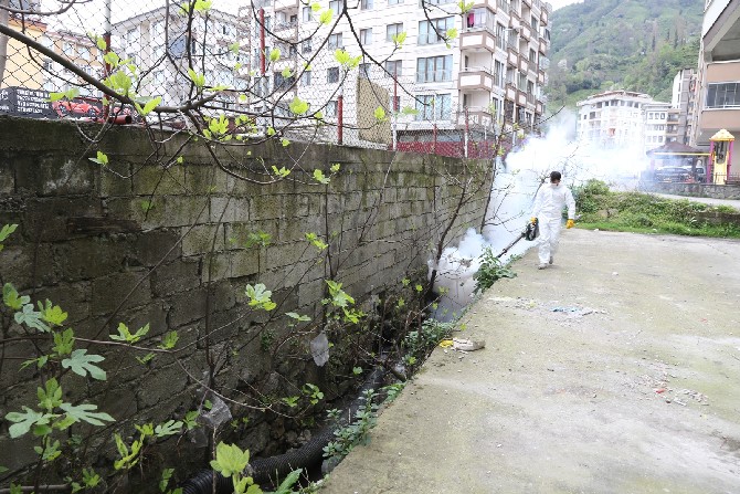 rize-belediyesi-sivrisinege-karsi-“larva”-donemi-mucadelesini-surduruyor-(6).jpg