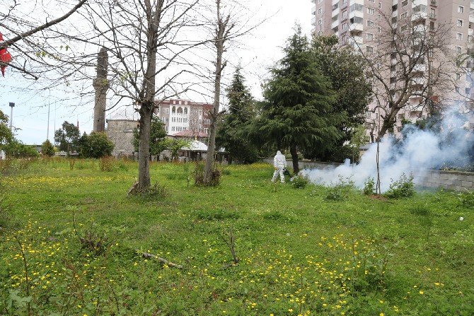 rize-belediyesi-sivrisinege-karsi-“larva”-donemi-mucadelesini-surduruyor-(8).jpg
