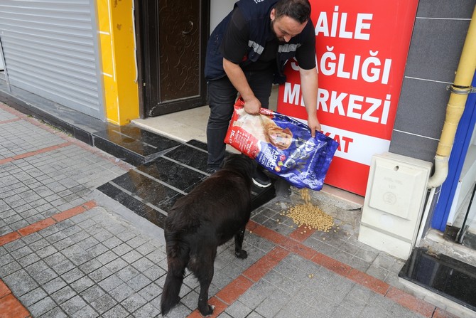 rize-belediyesi-veteriner-isleri-mudurlugune-bagli-ekipler-tarafindan-sokak-hayvanlarina-yonelik-yemleme-calismalari-araliksiz-devam-ediyor-7.jpg