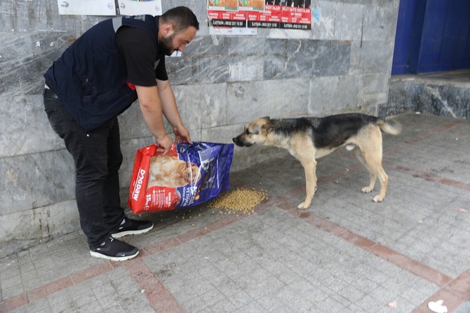 rize-belediyesi-veteriner-isleri-mudurlugune-bagli-ekipler-tarafindan-sokak-hayvanlarina-yonelik-yemleme-calismalari-araliksiz-devam-ediyor-8.jpg