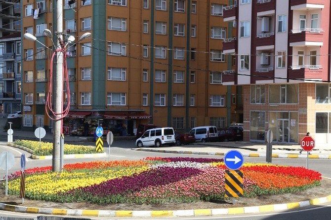 rize-caddeleri-lale-(13).jpg