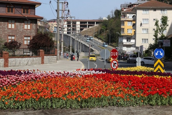 rize-caddeleri-lale-(9).jpg