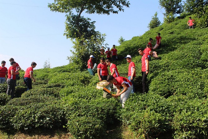 rize-genclik-merkezi-ve-kahramanmaras-ili-elbistan-genclik-merkezlerinin-gencleri-cay-seker-kardesligi-projesi-kapsaminda-rize’de-bir-araya-geldi-(13).jpg