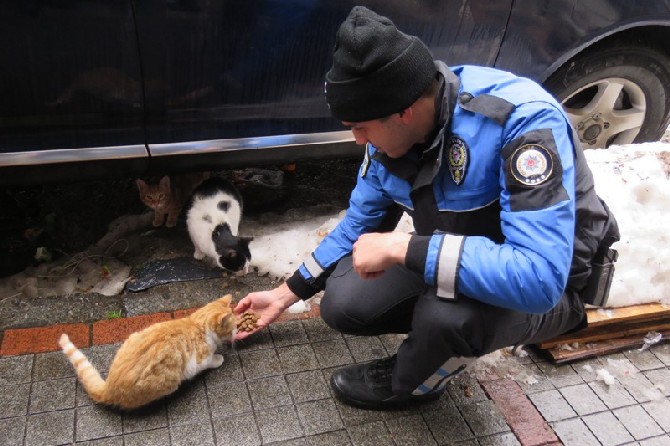 rize-il-emniyet-mudurlugu-toplum-destekli-polislik-sube-mudurlugu-personeli-sokak-hayvanlarini-unutmadi-(5).jpg
