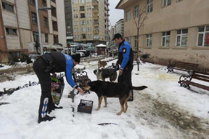 rize-il-emniyet-mudurlugu-toplum-destekli-polislik-sube-mudurlugu-personeli-sokak-hayvanlarini-unutmadi-(6).jpg