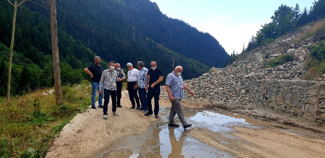 rize-il-genel-meclisi-baskani-ibrahim-turut,-camlihemsin-ilcesine-bagli-elevit,-trovit-ve-palovit-yayla-yollarinda-incelemelerde-bulundu-(2).jpg