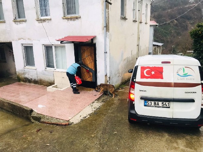 rize-il-ozel-idareden-sokak-hayvanlarina-mama-destegi-12.jpg