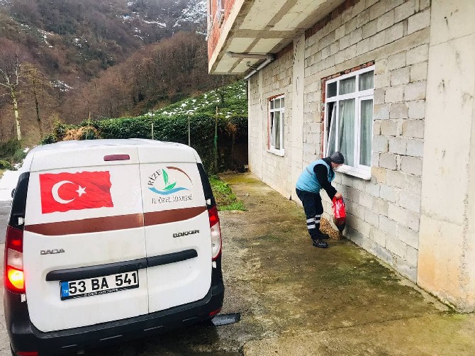 rize-il-ozel-idareden-sokak-hayvanlarina-mama-destegi-9.jpg