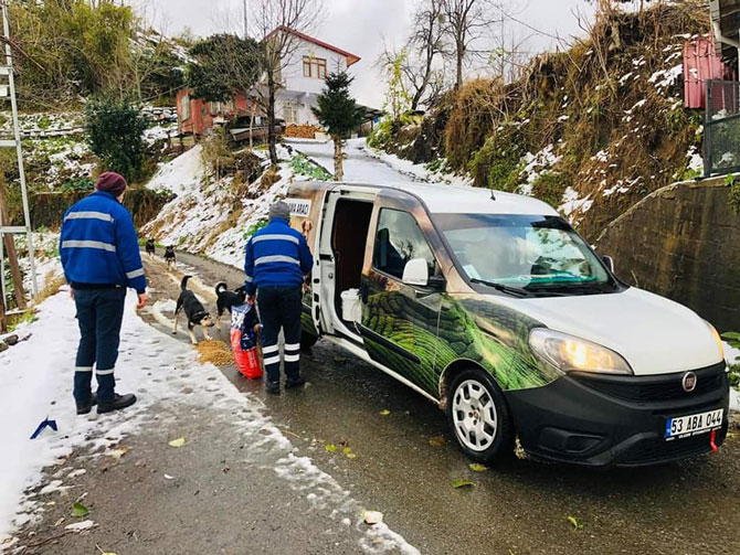 rize-il-ozel-idaresi-ekipleri-kar-yagisi-nedeniyle-sokak-hayvanlari-icin-dogaya-yem-birakti-1.jpg