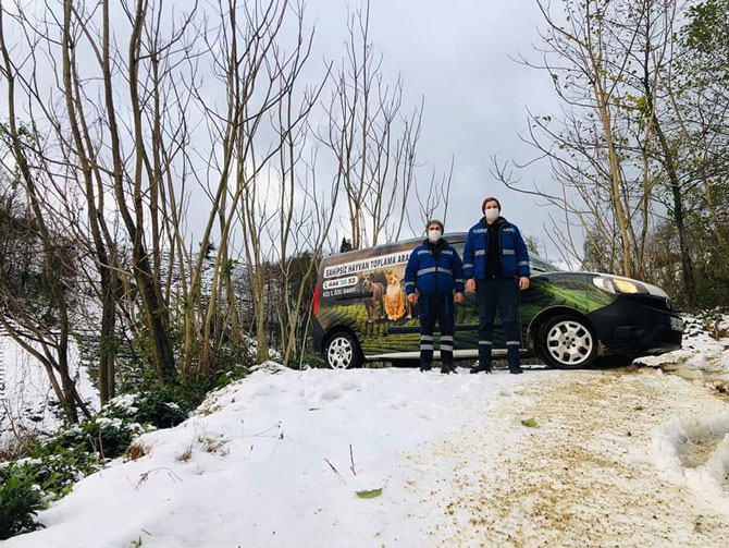 rize-il-ozel-idaresi-ekipleri-kar-yagisi-nedeniyle-sokak-hayvanlari-icin-dogaya-yem-birakti-2.jpg