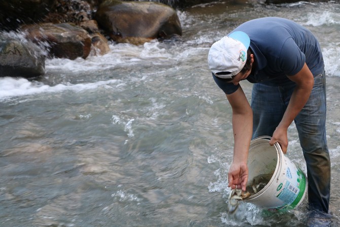 rize-pazarkoyde-islah-icin-kurutulan-derenin-baliklari-icin-koyluler-seferber-oldu--(7).jpg