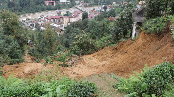 rize-sel.jpg rize-sel.jpg