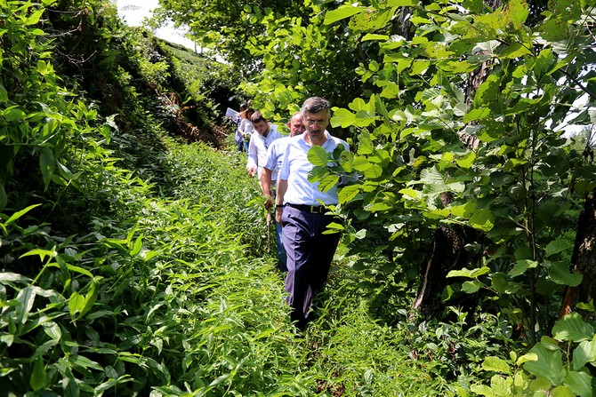 rize-valisi-erdogan-bektas,-iyidere-ilcesi-ciftlik-koyu-ve-kosklu-koyu-arasinda-yer-alan-pileki-magarasina-ulasan-tarihi-patika-yollarda-incelemelerde-bulundu-(5).jpg