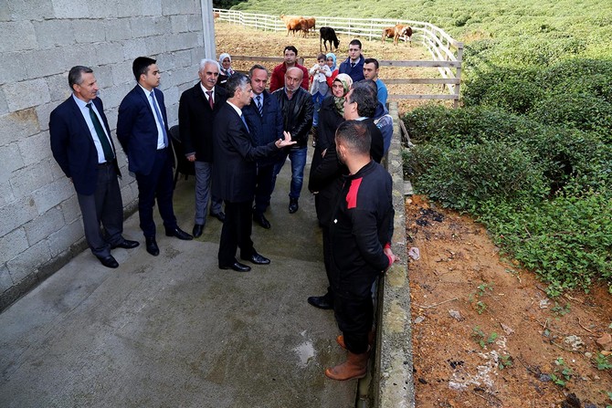 rize-valisi-erdogan-bektas,-merkez-ilce-akpinar-koyunde-faaliyette-bulunan-sut-uretim-ciftligini-ziyaret-ederek-incelemelerde-bulundu-(2).jpg