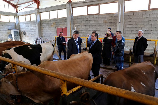rize-valisi-erdogan-bektas,-merkez-ilce-akpinar-koyunde-faaliyette-bulunan-sut-uretim-ciftligini-ziyaret-ederek-incelemelerde-bulundu-(5).jpg