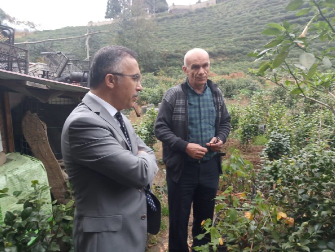 rize-valisi-kemal-ceber,-esi-neslihan-ayan-ceber--ile-birlikte-kamelya-vadisi-seralerini-ziyaret-ederek-seralardaki-uretim-hakkinda-isletmeci-emekli-ogretmen-dervis-ismail’den-bilgiler-aldi-(1).jpg