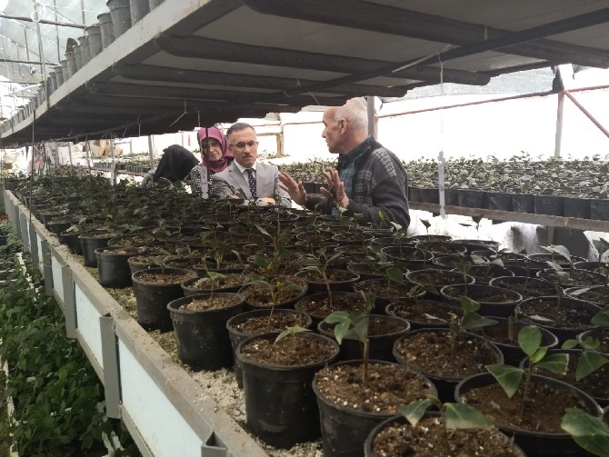 rize-valisi-kemal-ceber,-esi-neslihan-ayan-ceber--ile-birlikte-kamelya-vadisi-seralerini-ziyaret-ederek-seralardaki-uretim-hakkinda-isletmeci-emekli-ogretmen-dervis-ismail’den-bilgiler-aldi-(2).jpg