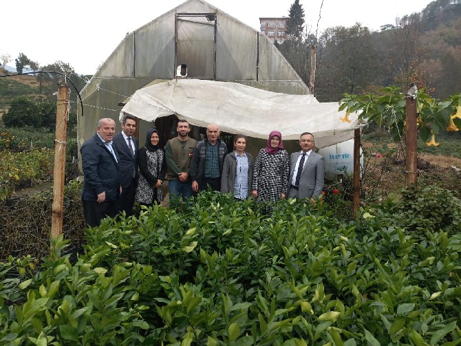 rize-valisi-kemal-ceber,-esi-neslihan-ayan-ceber--ile-birlikte-kamelya-vadisi-seralerini-ziyaret-ederek-seralardaki-uretim-hakkinda-isletmeci-emekli-ogretmen-dervis-ismail’den-bilgiler-aldi-(4).jpg