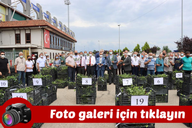 rizede-10-bin-adet-maviyemis-fidani-dagitildi.jpg