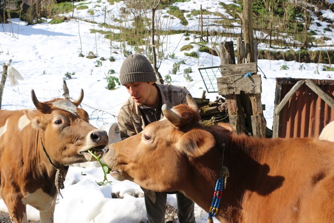 rizede-10-yasinda-sehir-hayatindan-sikilip-koy-hayatini-yasamayi-secen-genc-9-yildir-memnun-sekilde-yasamini-surduruyor-4.jpg