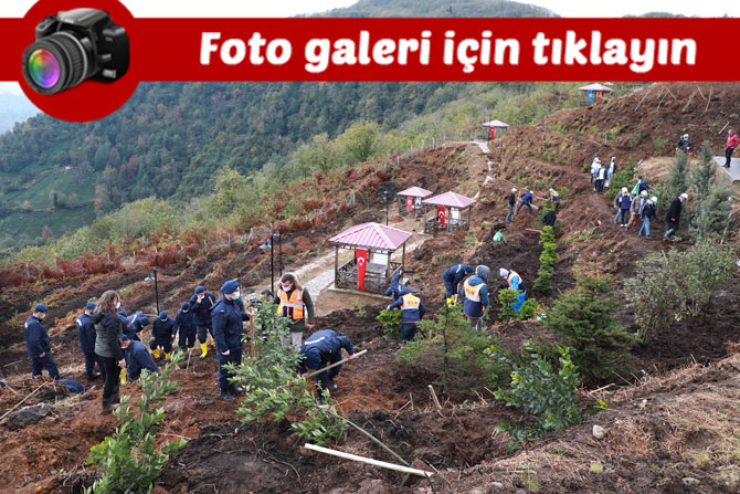 rizede-11-kasim-milli-agaclandirma-gunu-nedeniyle-300-bin-fidan-toprakla-bulusturuldu.jpg