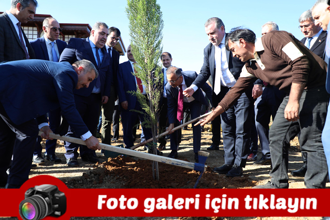 rizede-11-milyon-agac;-bugun-fidan,-yarin-nefes-kampanyasi.jpg