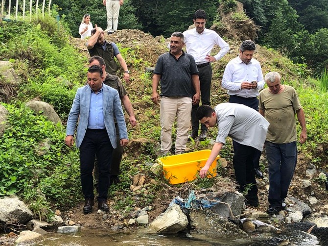 rizede-20-bin-kirmizi-benekli-alabalik-yavrusu-derelere-birakildi-3.jpg