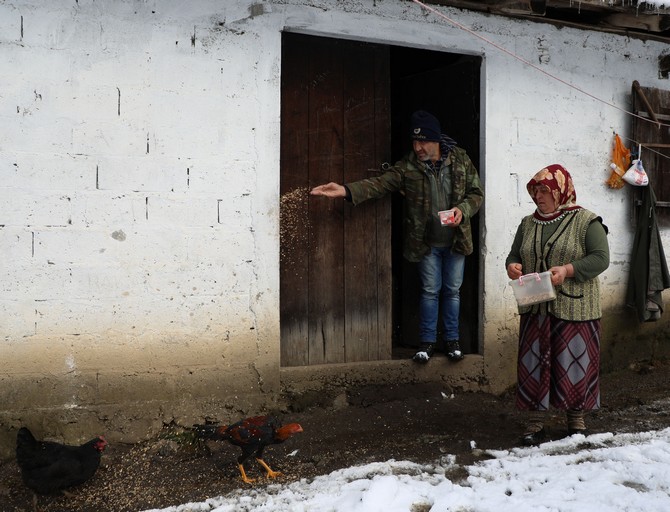 rizede-2017-yilinda-yasanan-heyelan-nedeniyle-evleri-hasar-goren-yalcinkaya-ailesi,-10-buyukbas-hayvani-ile-elektrigin-olmadigi-yaylada-zor-sartlarda-yasama-tutunmaya-calisiyor-(2).jpg