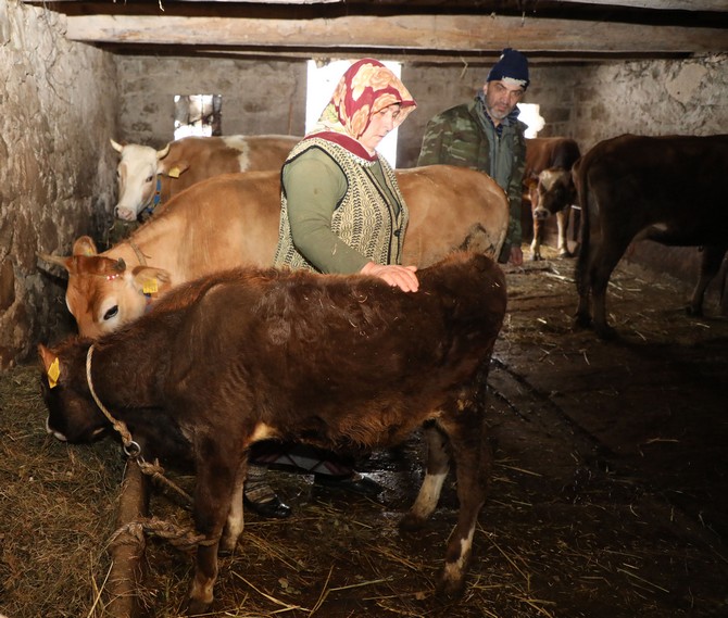 rizede-2017-yilinda-yasanan-heyelan-nedeniyle-evleri-hasar-goren-yalcinkaya-ailesi,-10-buyukbas-hayvani-ile-elektrigin-olmadigi-yaylada-zor-sartlarda-yasama-tutunmaya-calisiyor-(4).jpg
