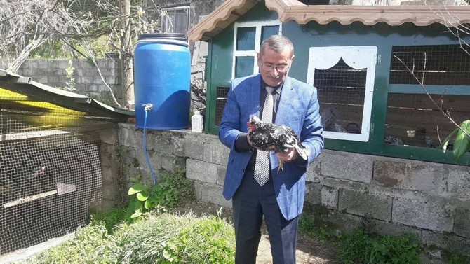 rizede-50-bin-dolarlik-kumes-rizede-iyidere-ilcesi-belediye-baskan-yardimcisi-muammer-metenin-besledigi-tavuk-ve-horozlarin-fiyati-50-bin-dolari-buluyor-(1).jpg