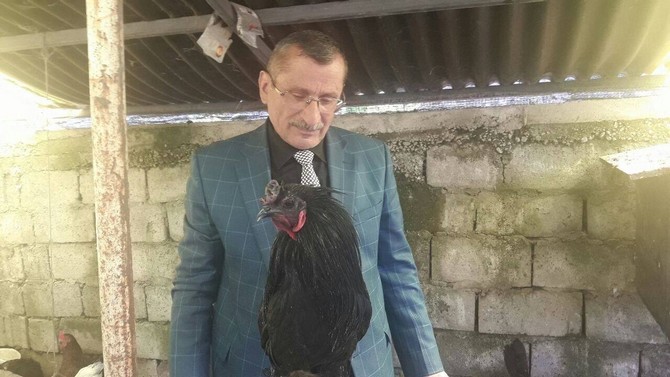 rizede-50-bin-dolarlik-kumes-rizede-iyidere-ilcesi-belediye-baskan-yardimcisi-muammer-metenin-besledigi-tavuk-ve-horozlarin-fiyati-50-bin-dolari-buluyor-(3).jpg