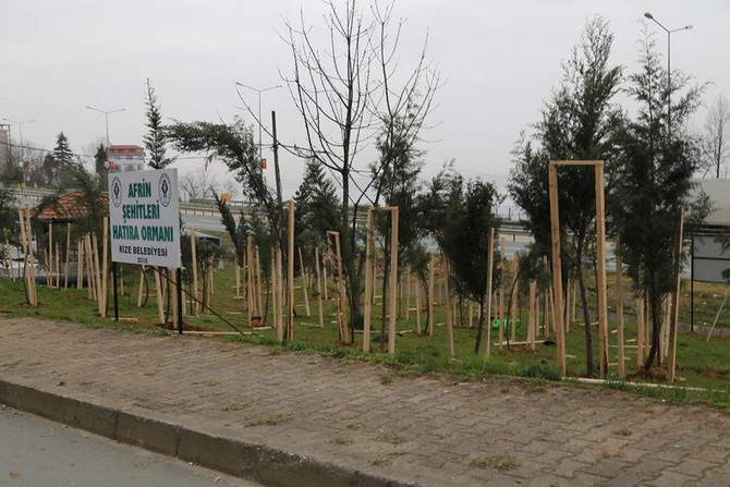 rizede-afrin-sehitleri-anisina-hatira-ormani-olusturuldu-(10).jpg