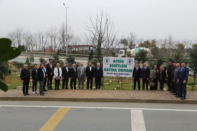 rizede-afrin-sehitleri-anisina-hatira-ormani-olusturuldu-(5).jpg