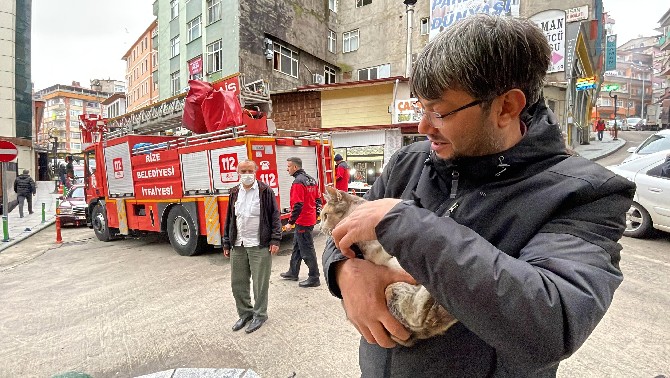 rizede-agacta-mahsur-kalan-kediyi-itfaiye-ekipleri-kurtardi-3.jpg