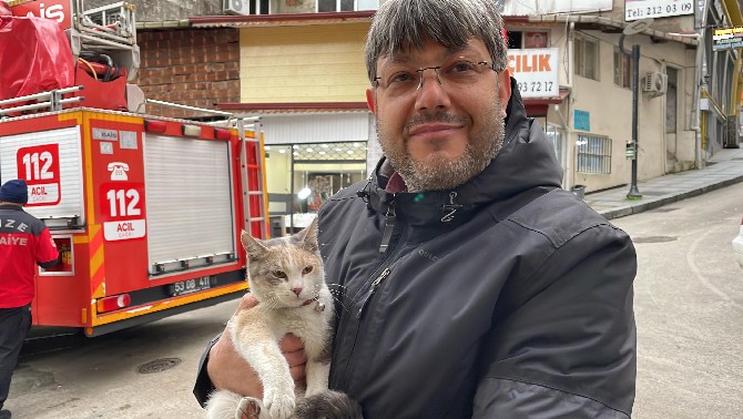 rizede-agacta-mahsur-kalan-kediyi-itfaiye-ekipleri-kurtardi-4.jpg